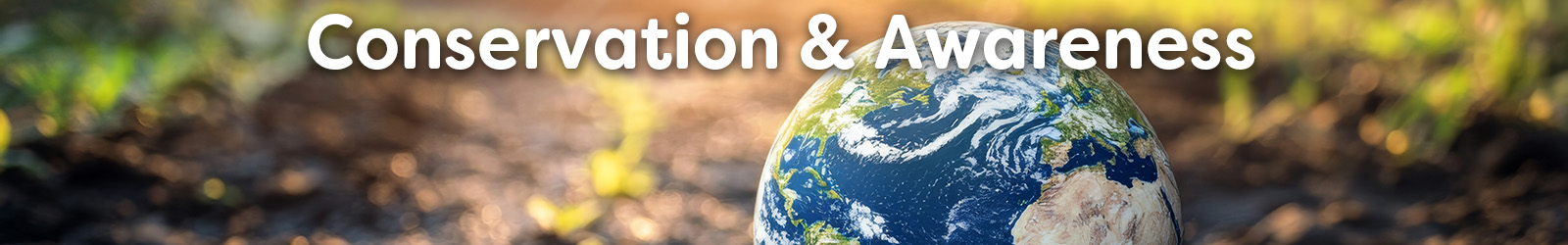 onservation and awareness - Paracay