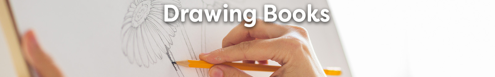 drawing books - Paracay