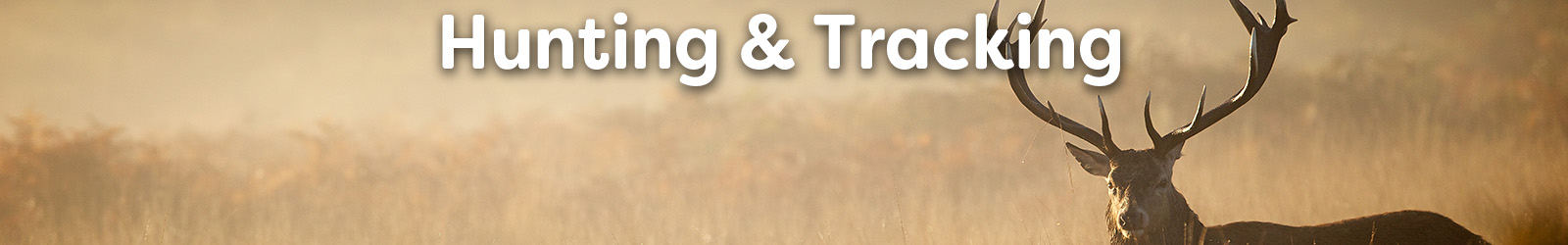 hunting and tracking - Paracay