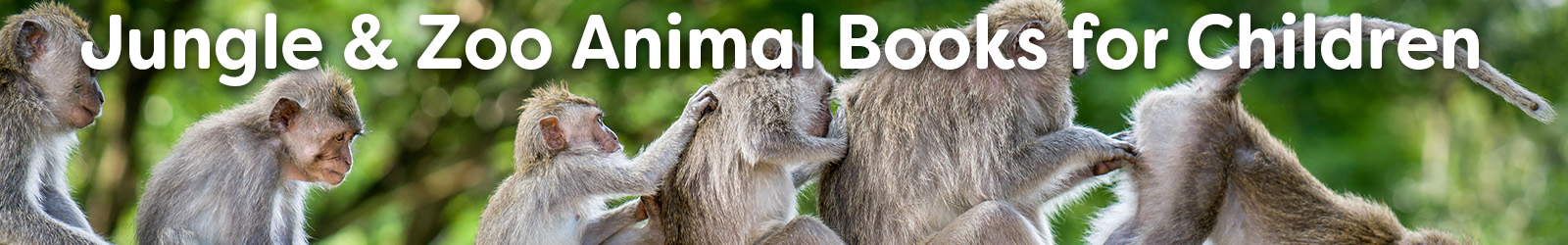 jungle and zoo animal books - Paracay