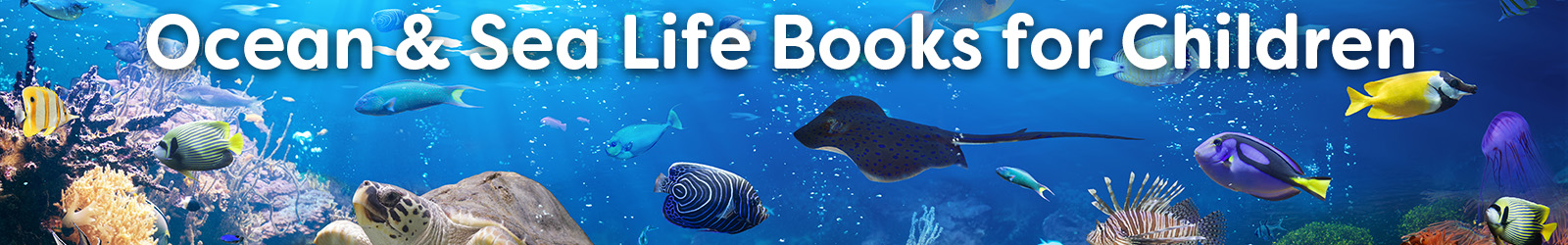 ocean and sealife books for kids - Paracay