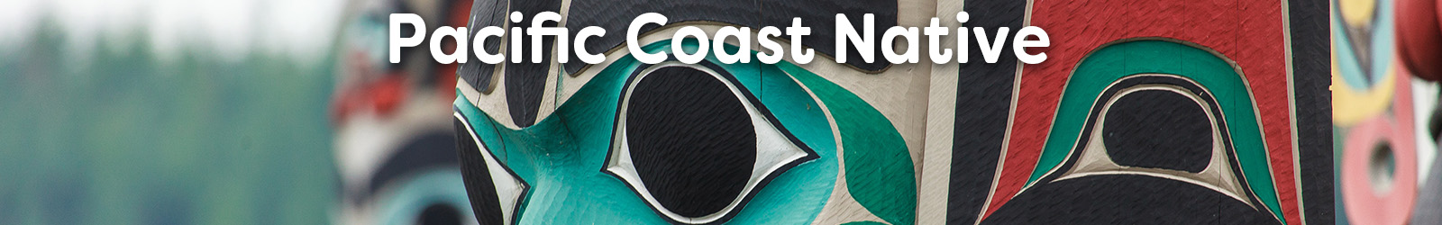 Pacific  Coast Native - Paracay