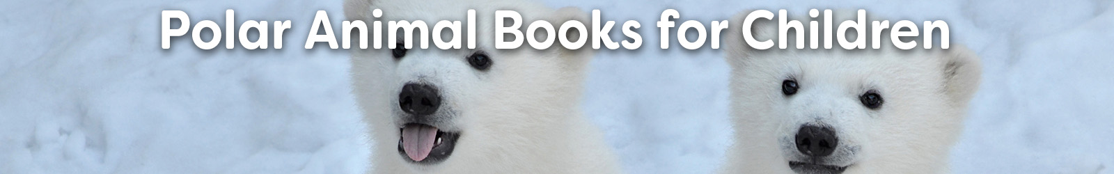 polar animals books - Paracay
