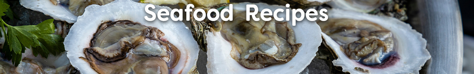 seafood recipes - Paracay