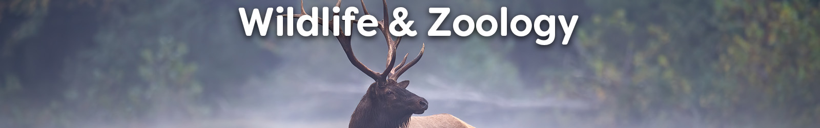 wildlife and zoology - Paracay