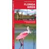 Florida Birds (Folding Pocket Guide)