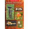 Common Mushrooms of the NorthwestCommon Mushrooms of the Northwest