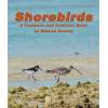 Shorebirds: A Compare And Contrast Book - Book - Paracay