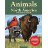 Animals of Norht America - Coloring Book - Paracay