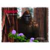 Bigfoot - 2027 - Calendar