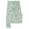 Alabama sectional chart wall map, decorative FAA chart, reference only