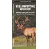 Yellowstone Wildlife - Book - Paracay