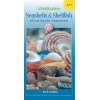 A Field Guide to Seashells & Shellfish of the Pacific Northwest (Folding Pocket Guide)
