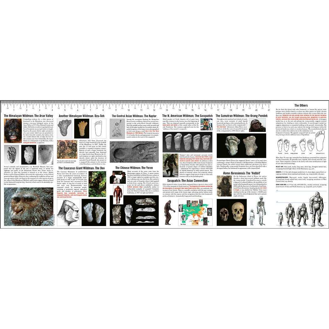 Books & Gifts :: Bigfoot - Books & Gifts :: Bigfoot Books :: Sasquatch, Yeti and Other Wildmen ...