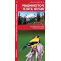 Washington Birds (Folding Pocket Guide)
