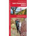 San Francisco Birds (Folding Pocket Guide)