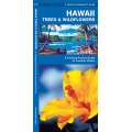 Hawaii Trees & Wildflowers (Folding Pocket Guide)
