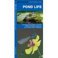Pond Life  (Folding Pocket Guide)