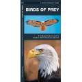 Birds of Prey (Folding Pocket Guide)