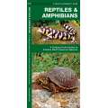 Reptiles & Amphibians  (Folding Pocket Guide)