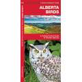 Alberta Birds (Folding Pocket Guide)