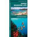 Hawaii Seashore Life (Folding Pocket Guide)