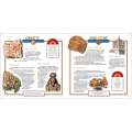 Take Along Guides: Rocks, Fossils & Arrowheads
