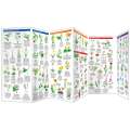 Oregon Trees & Wildflowers (Folding Pocket Guide)