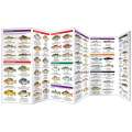 Freshwater Fishes