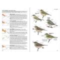 National Geographic Field Guide to the Birds of North America, 7th Edition