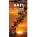 Bats: A Folding Pocket Guide to the Status of Familiar Species