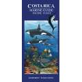 Costa Rica Pacific Coast Marine Wildlife Guide