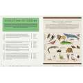 The Animal World: The Amazing Connections and Diversity Found in the Animal Family Tree
