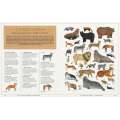 The Animal World: The Amazing Connections and Diversity Found in the Animal Family Tree