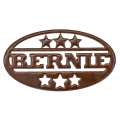 Bernie - Magnet - Paracay