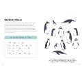 Fun with Oceans and Seas: A Big Activity Book for Kids about Our Wonderful Waters (and Marvelous Marine Life) - Book - Paracay
