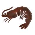 SHRIMP-magnet-paracay
