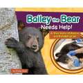 Bailey the Bear Needs Help! - Book - Paracay