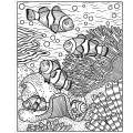 Coral Reef Magic Painting Book - Book - Paracay
