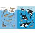 First Sticker Book Narwhals - Book - Paracay