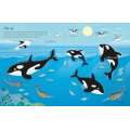 First Sticker Book Narwhals - Book - Paracay