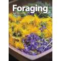 Foraging - Playing Cards - paracay