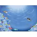 Little First Stickers Aquarium - Book - Paracay