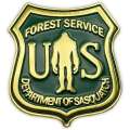 USFS Department of Sasquatch - Green - Lapel Pin - Paracay