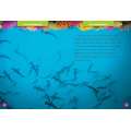 5-Minute Shark Stories - Book - Paracay