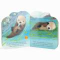 A Little Otter - Book - Paracay