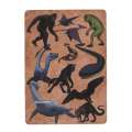 Cryptid Creatures - Playing Cards - Paracay