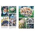 Growing Mushrooms at Home - Book - Paracay