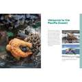 Let's Explore the Beach!  - Book - Paracay