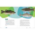 Let's Learn to Fish - Book - Paracay